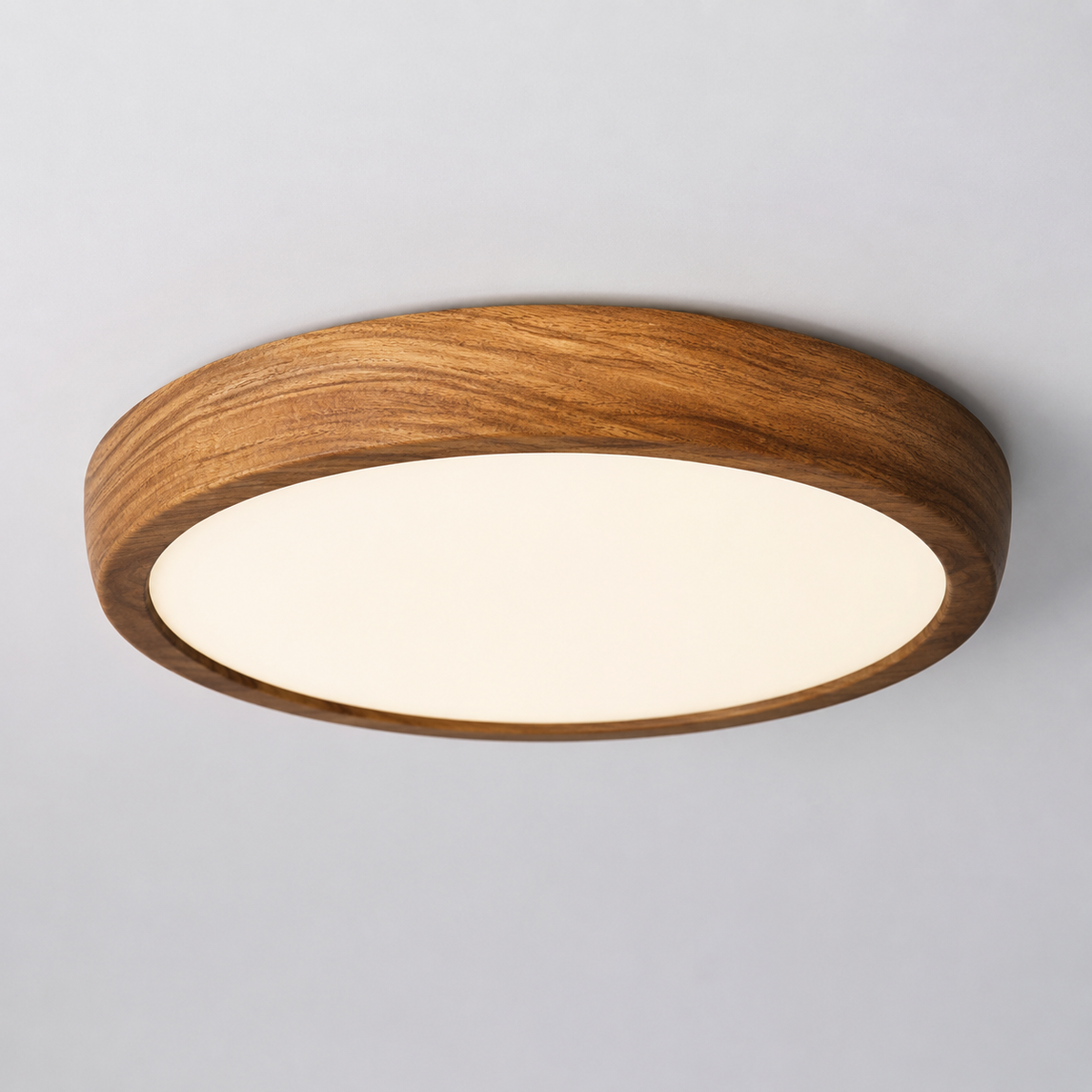 The Hearth Ceiling Light