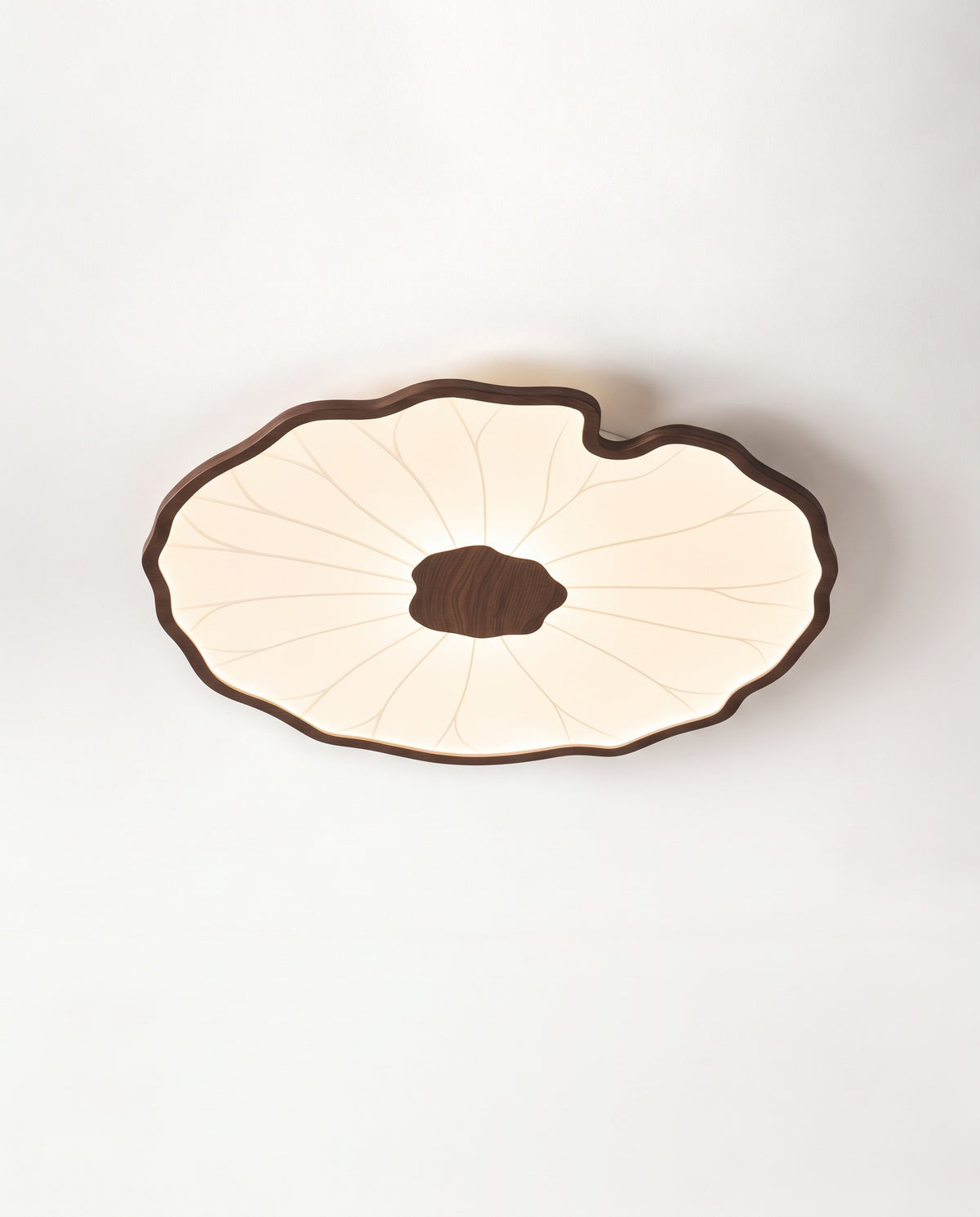 The Lilypad Ceiling Light in Walnut Effect