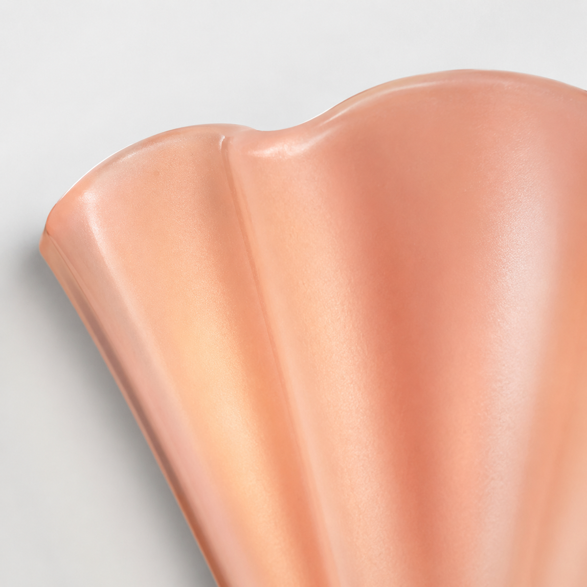 The Petal Wall Light