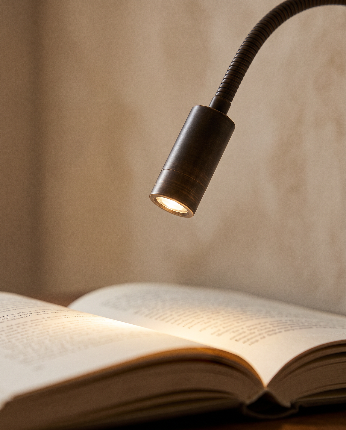 Close-up of the head of The Lectern lighting an open book