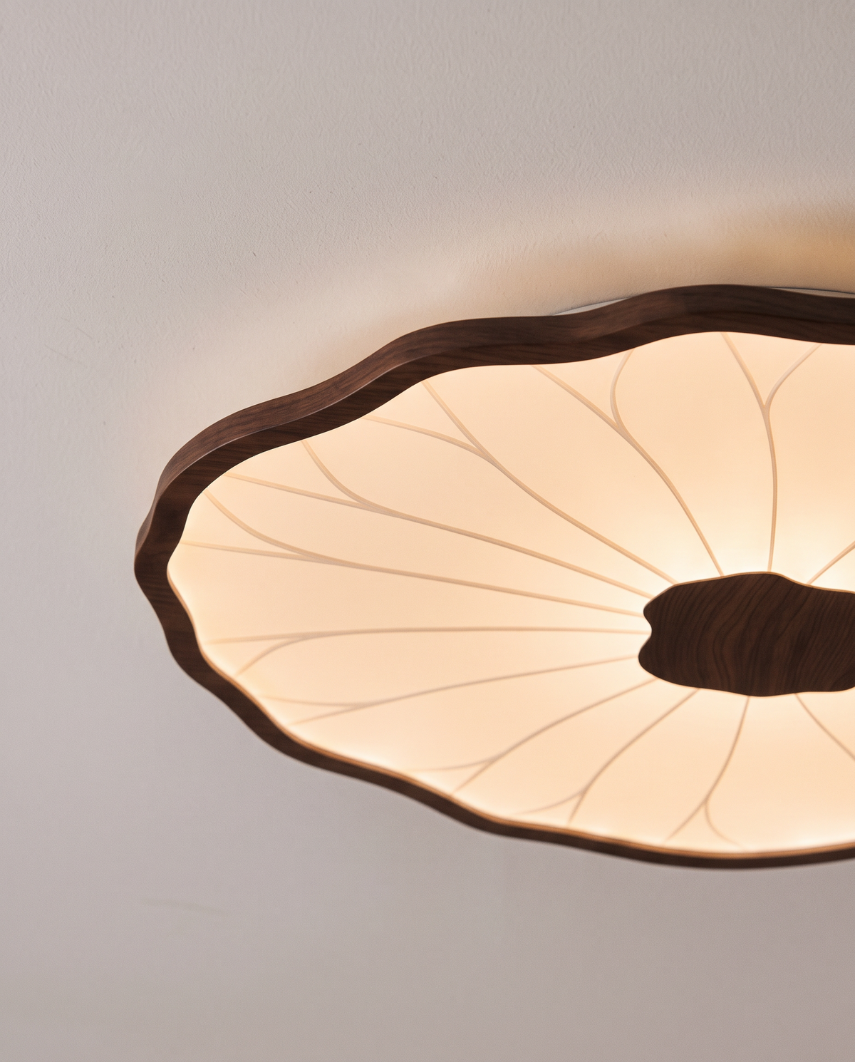 Close-up of the veins and walnut-effect rim of The Lilypad